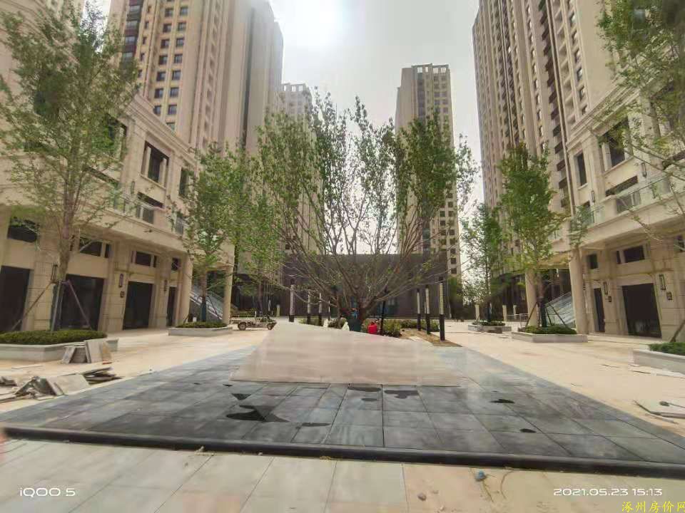 涿州九里京城小区绿化图片